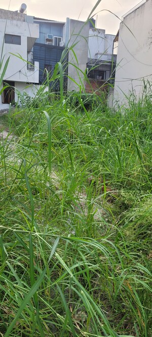 Plot Area in  Plot at Sector 40 – for Sale