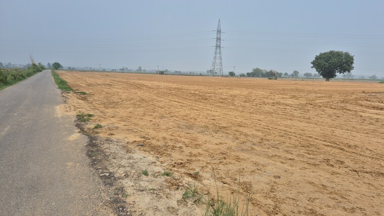undefined, kharkhoda  250 Sq.Yd. Plot In Kharkhoda Sonipat 9005808