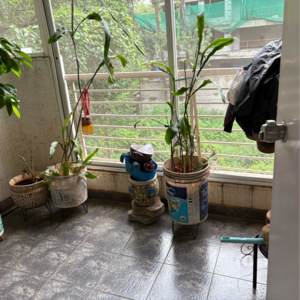 Gym in 2 BHK Apartment at Citadel Friends CHS, Walvekar Nagar – for Sale