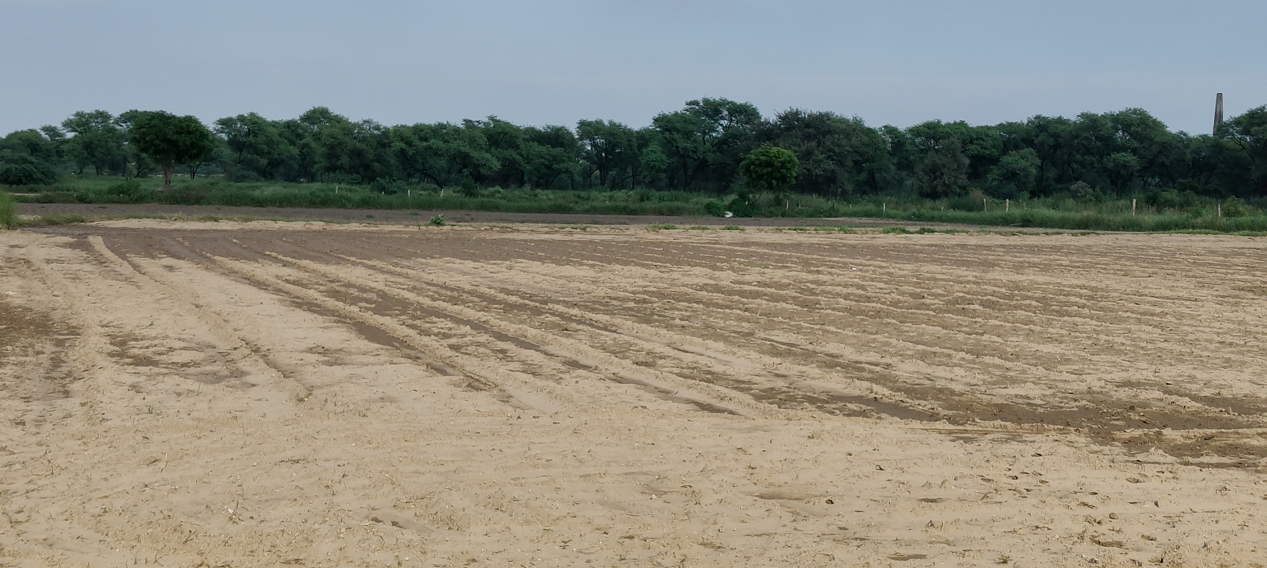 Plot For Sale in Suraksha Enclave Township