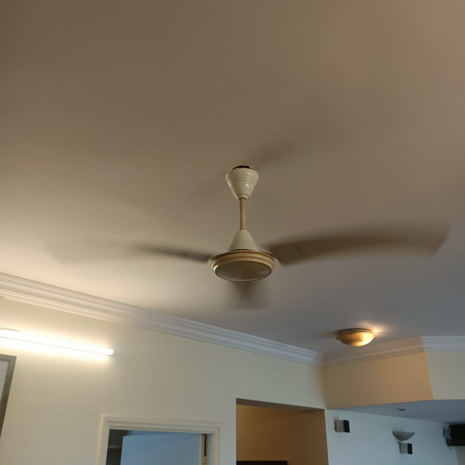 2 BHK Apartment For Sale in Rajlaxmi CHS Matunga