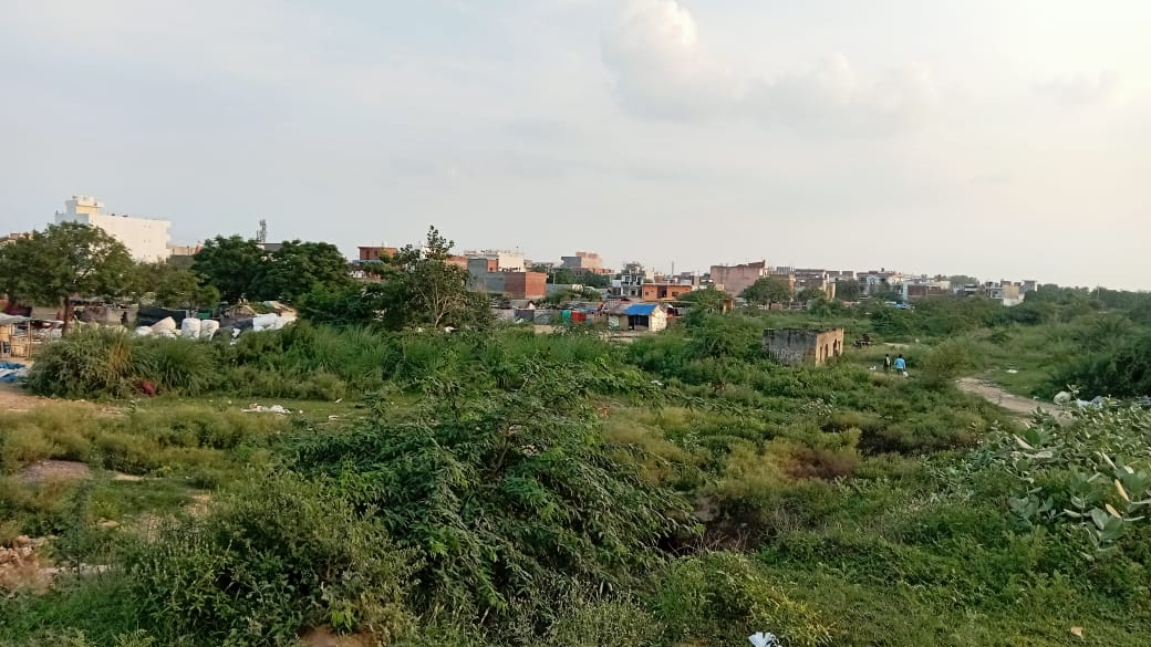 Plot For Sale in Knowledge Park V Greater Noida