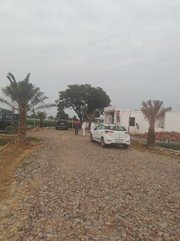 Plot Area in  Plot at Jattari – for Sale