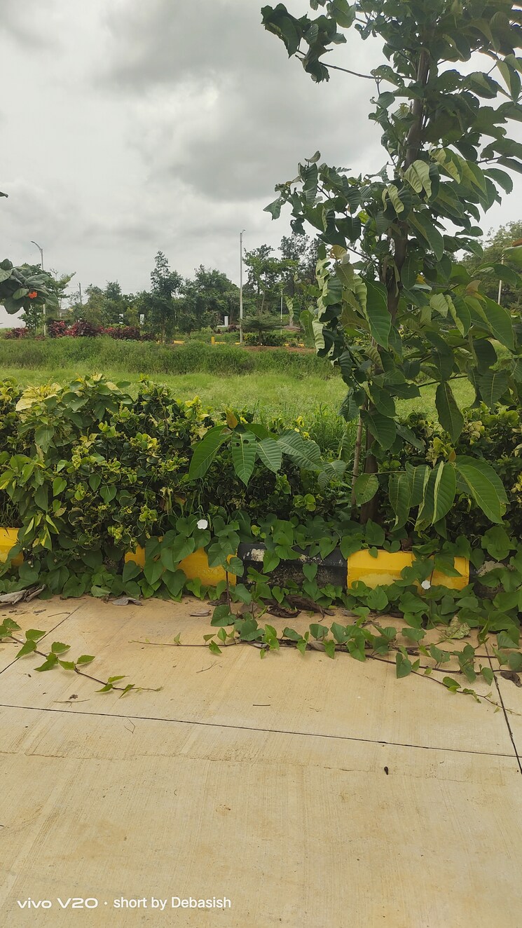 Garden, ak-residency-medchal  200 Sq.Yd. Plot In Medchal Hyderabad 9007929