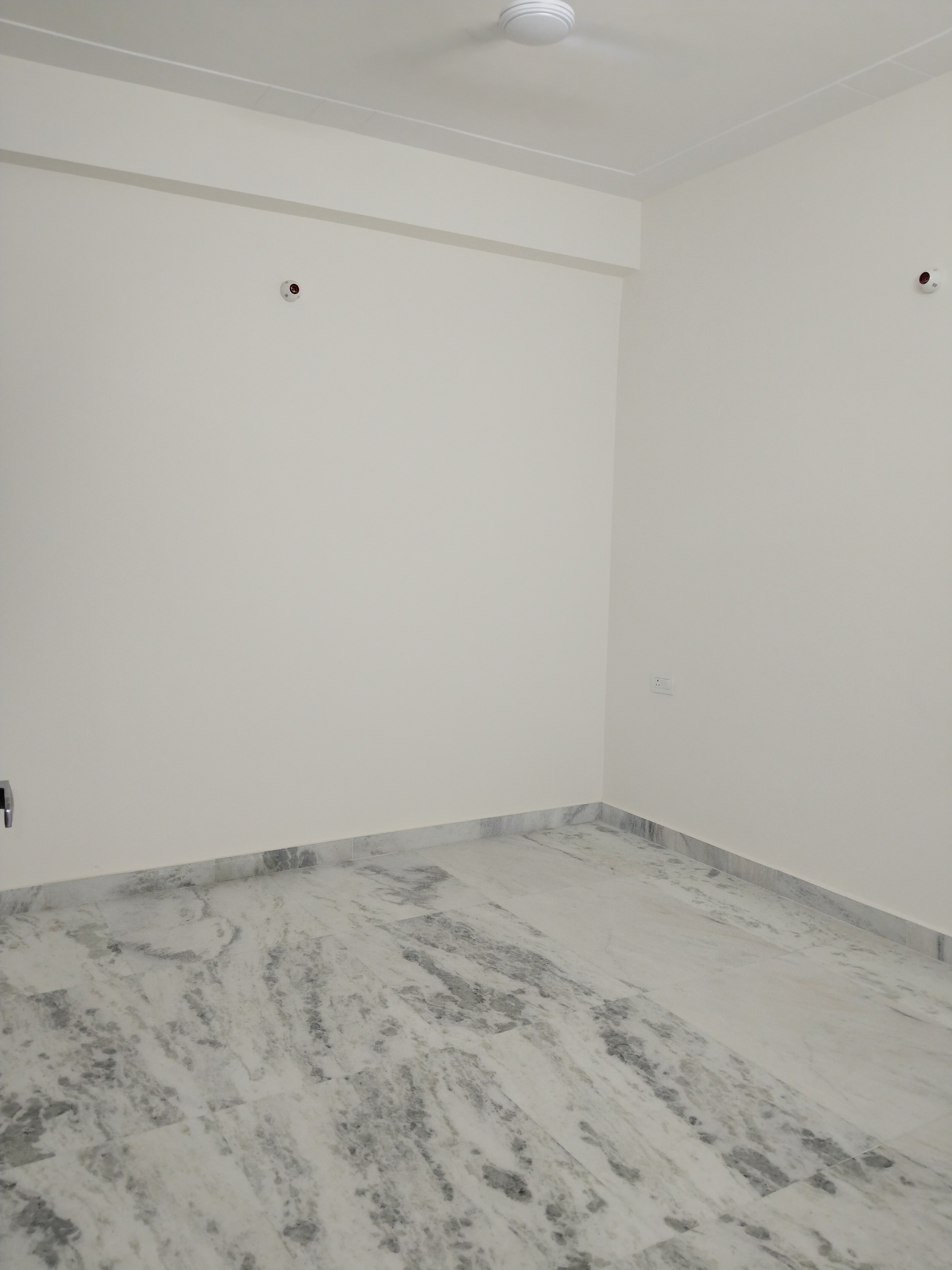 2 BHK + Pooja Room Apartment For Rent in B Block Panchsheel Vihar 