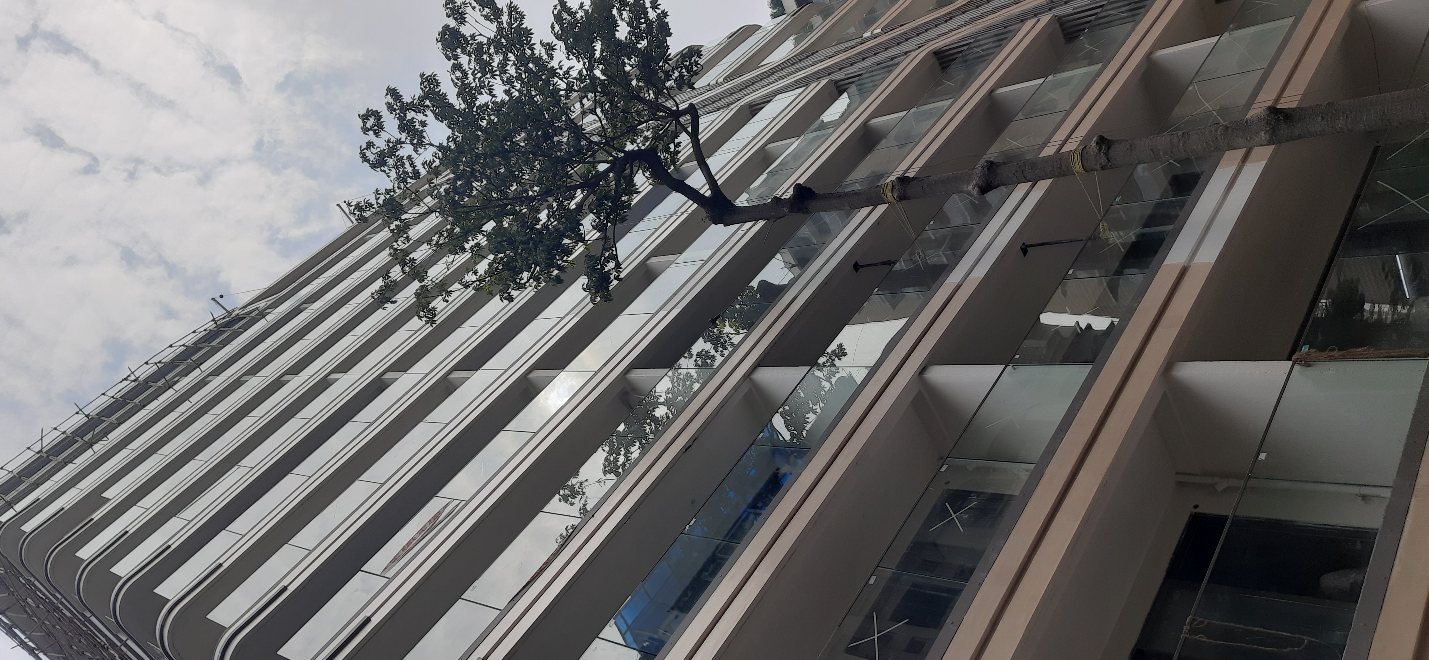 4 BHK + Servant Room Apartment For Rent in Brand Newbuilding