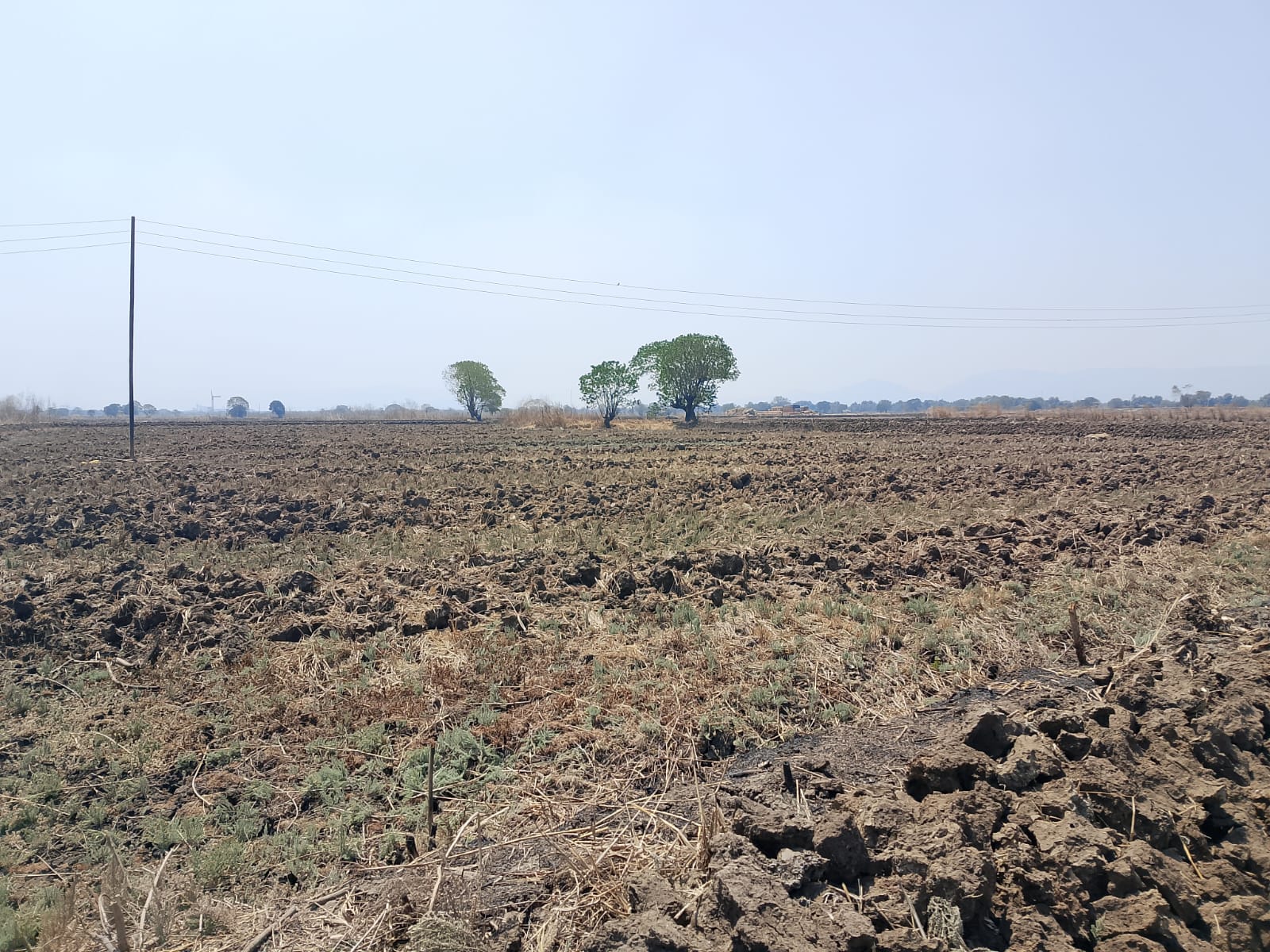 Land For Sale in Commercial Plot 