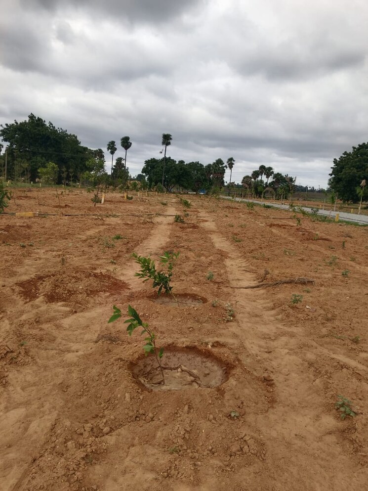 undefined, madhapur  151 Sq.Yd. Plot In Madhapur Hyderabad 9008130