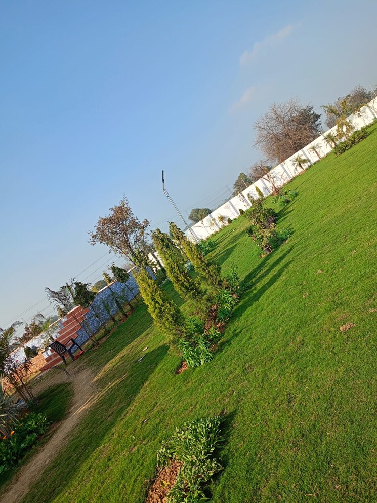 Exterior View, farukh nagar Commercial Land 2420 Sq.Yd. In Farukh Nagar Gurgaon 9008149