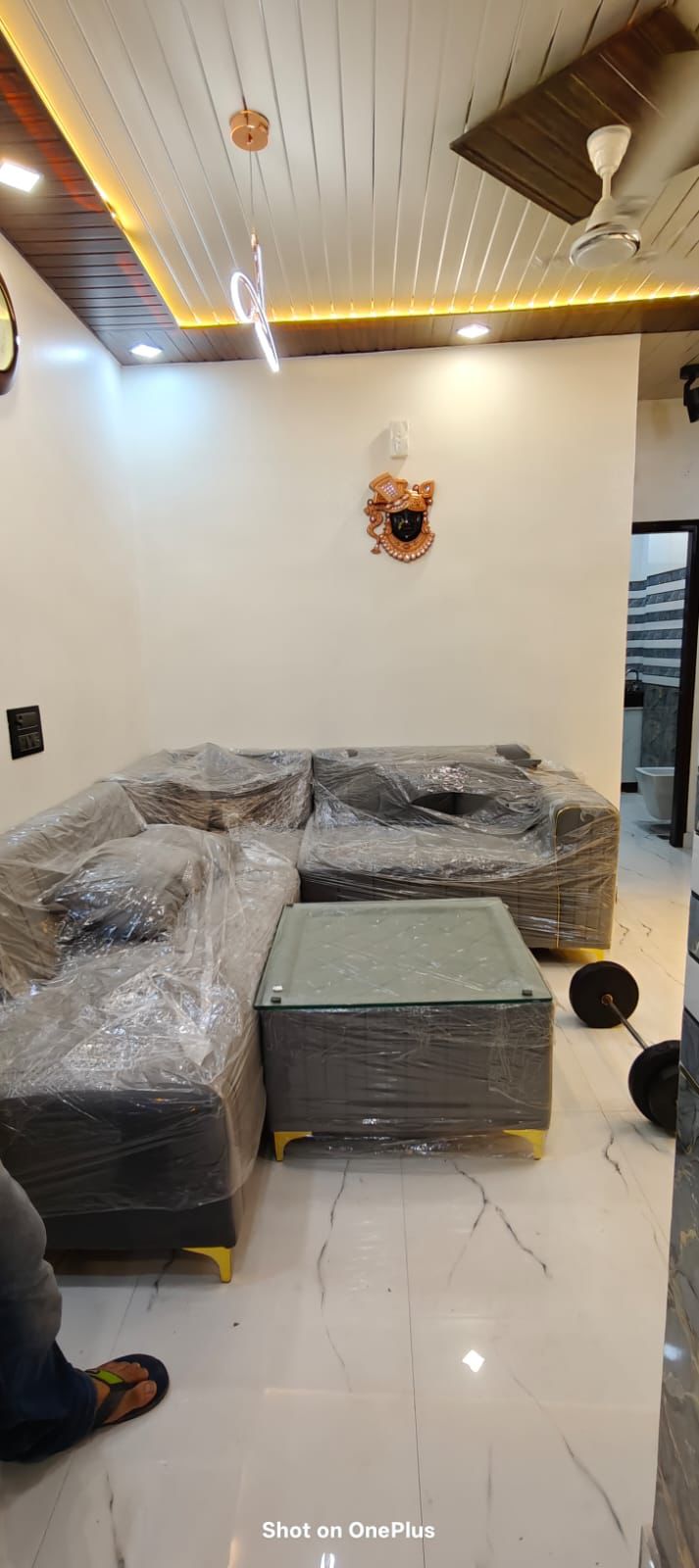 1 BHK Builder Floor For Rent in Pitampura