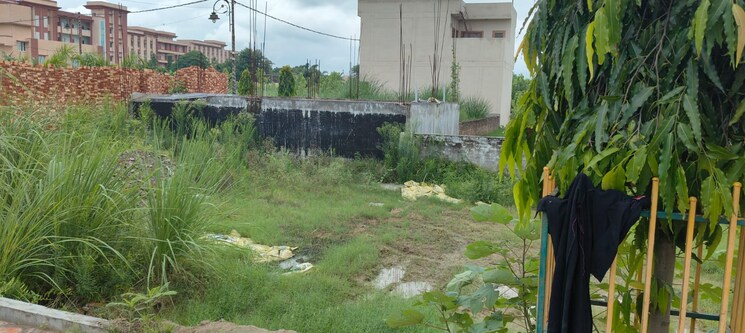 undefined, patanjali phase 1  1012 Sq.Ft. Plot In Patanjali Phase 1 Haridwar 9008718