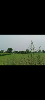 10 Acre Land in Kshitij Ramsons