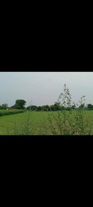  Land For Sale in Kshitij Ramsons, Sector 95