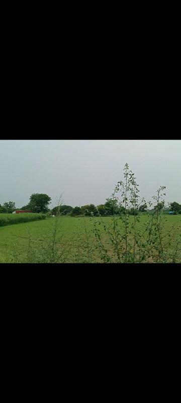  Land For Sale in Kshitij Ramsons, Sector 95