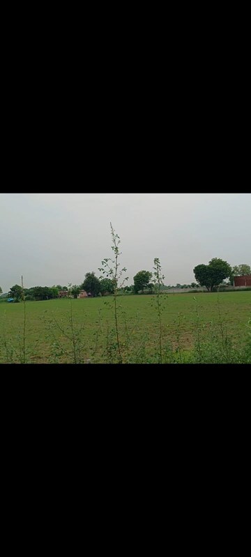 Plot Area in  Land at Kshitij Ramsons, Sector 95 – for Sale