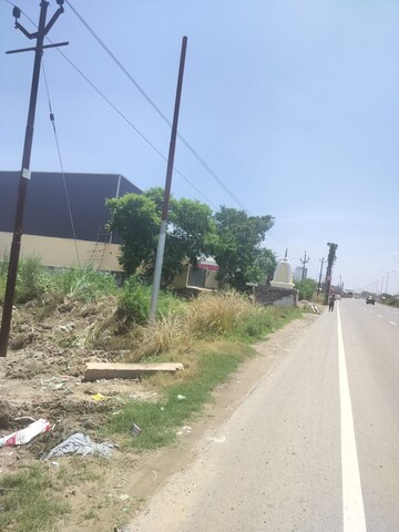 Plot Area in  Plot at Haibatpur – for Sale