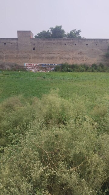 Plot Area in  Plot at Haibatpur – for Sale