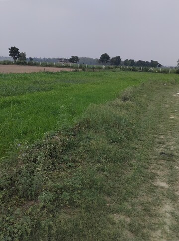 Plot Area in  Plot at Selakui – for Sale