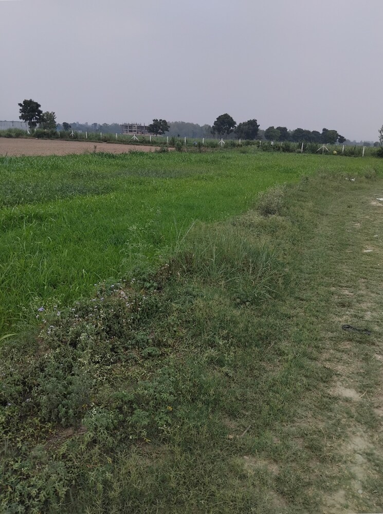 undefined, selakui  260 Sq.Yd. Plot In Selakui Dehradun 9008951