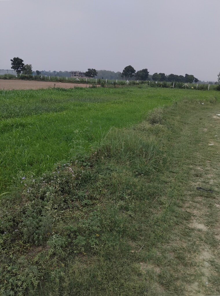 undefined, selakui  260 Sq.Yd. Plot In Selakui Dehradun 9008951