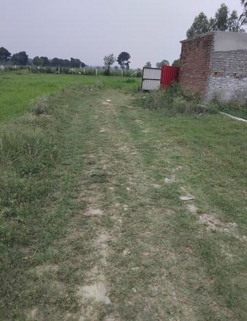  Plot – Nearby View at Selakui - for Sale