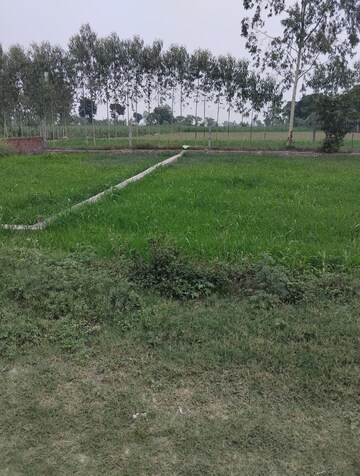 Plot Area in  Plot at Selakui – for Sale