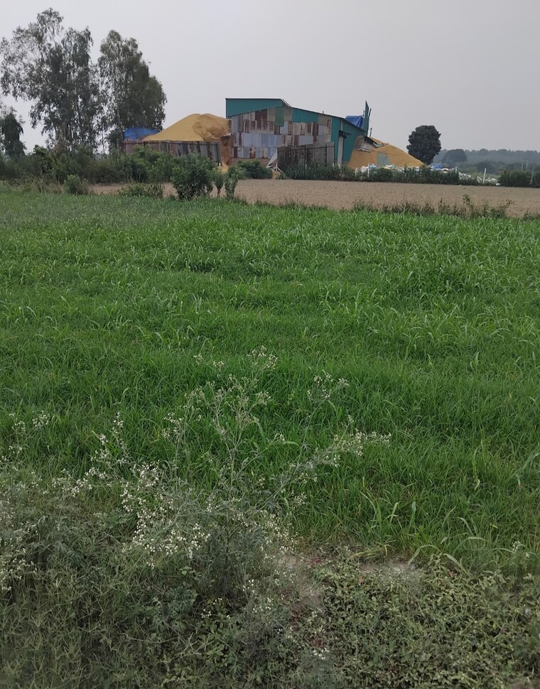 Garden, selakui  260 Sq.Yd. Plot In Selakui Dehradun 9008951