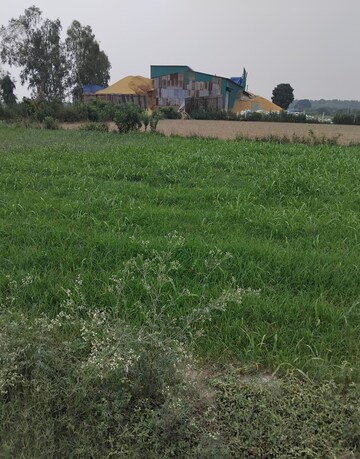 Plot Area in  Plot at Selakui – for Sale