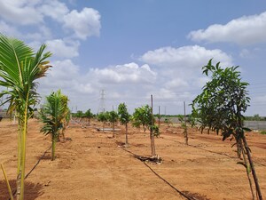 Plot Area in  Plot at Keesara – for Sale