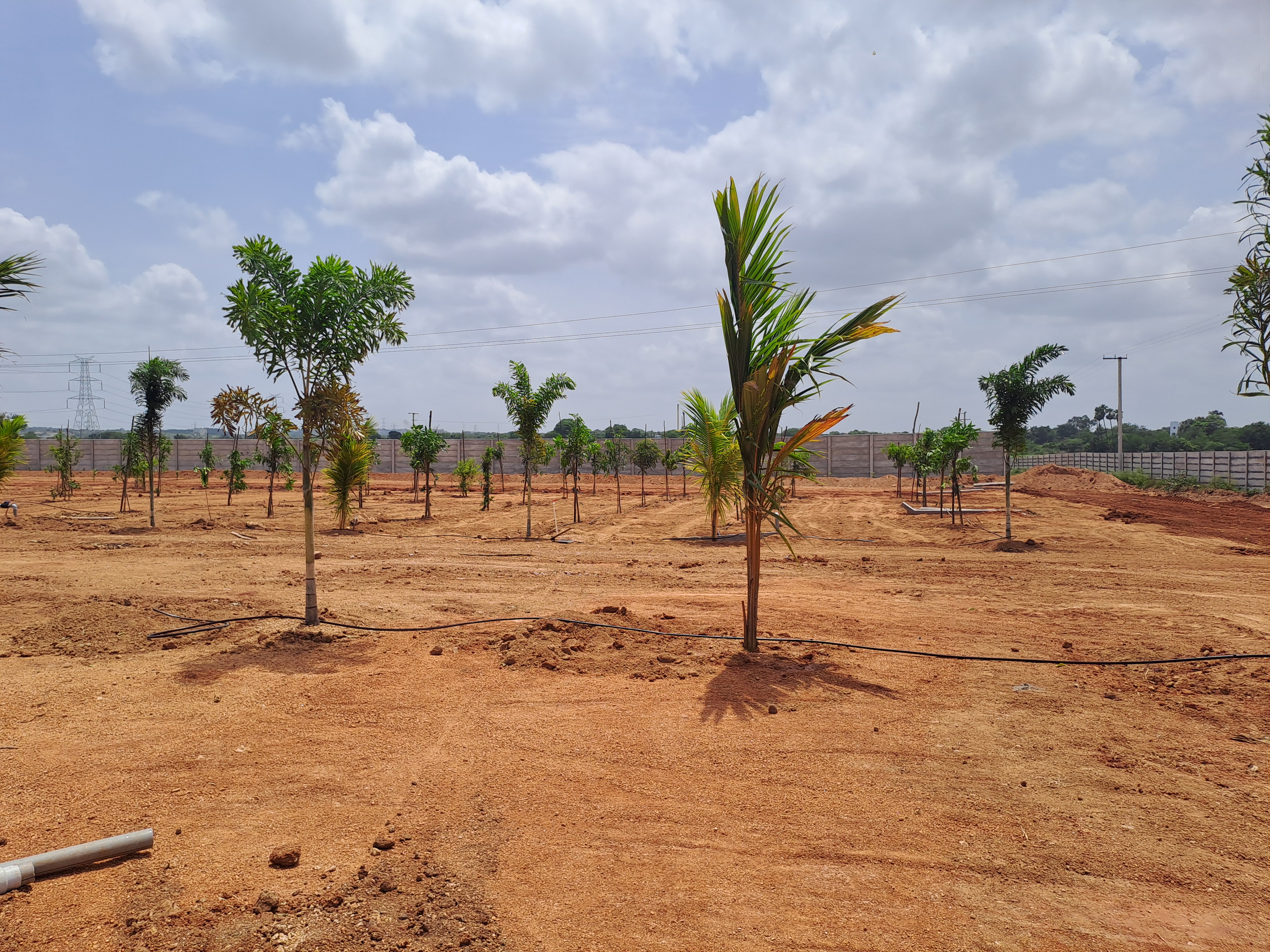 Plot For Sale in Keesara