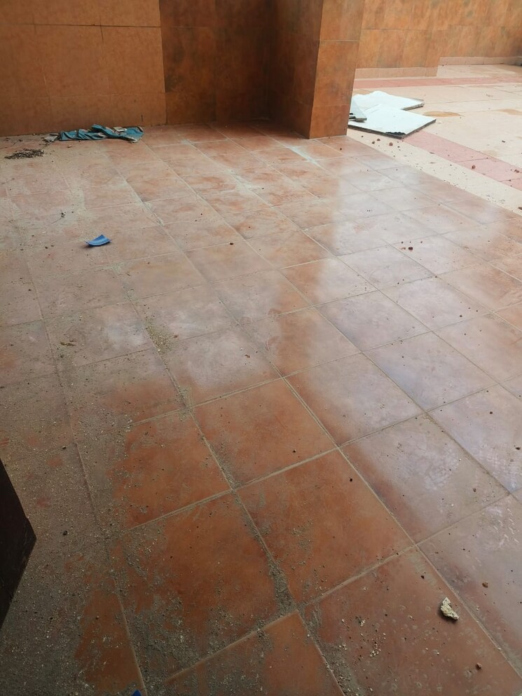 Bathroom, rwa-apartments-sector-30 2 Bedroom 1250 Sq.Ft. Builder Floor In Sector 30 Noida 9009528