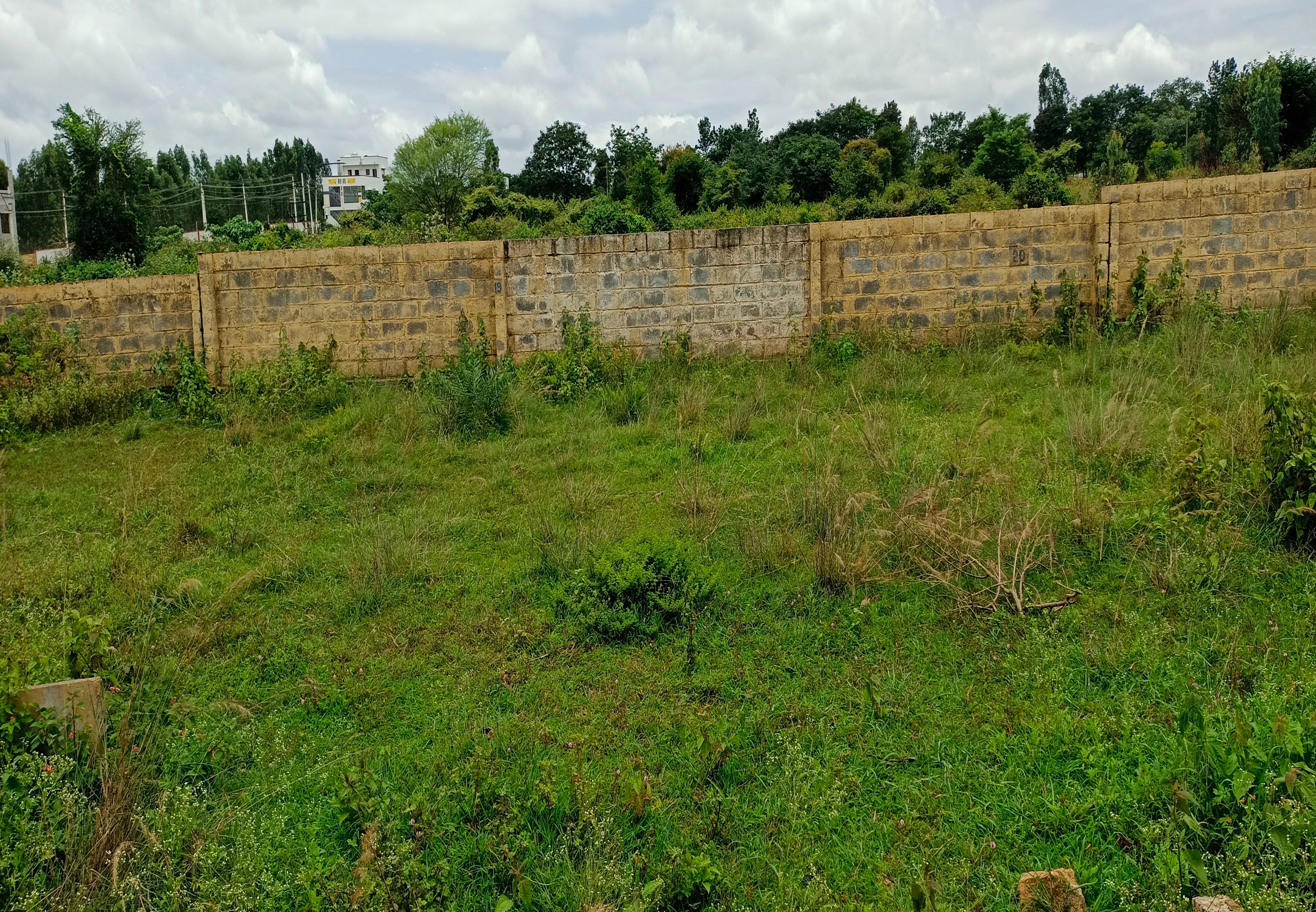 Plot For Sale in Hosur Road