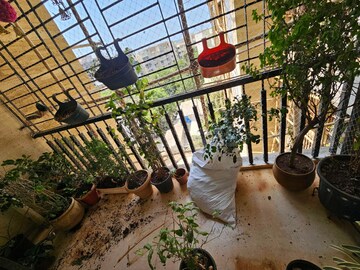 2 BHK Apartment – Exterior View View at Chandiwala Pearl Castle, Andheri West - for Rent