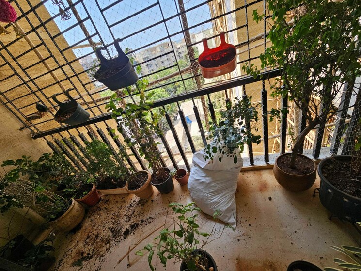 Exterior View, chandiwala-pearl-castle 2 Bedroom 900 Sq.Ft. Apartment In Andheri West Mumbai 9009838