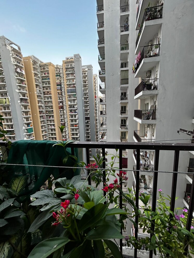 Exterior View, panchsheel-greens-ii 2 Bedroom 915 Sq.Ft. Apartment In Sector 16 Greater Noida Greater Noida 9010020