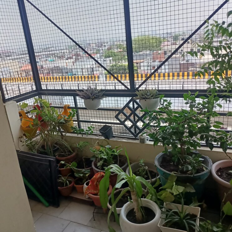 Exterior View, sahar-plaza-indira-nagar 2 Bedroom 5000 Sq.Ft. Apartment In Indira Nagar Lucknow 9010348