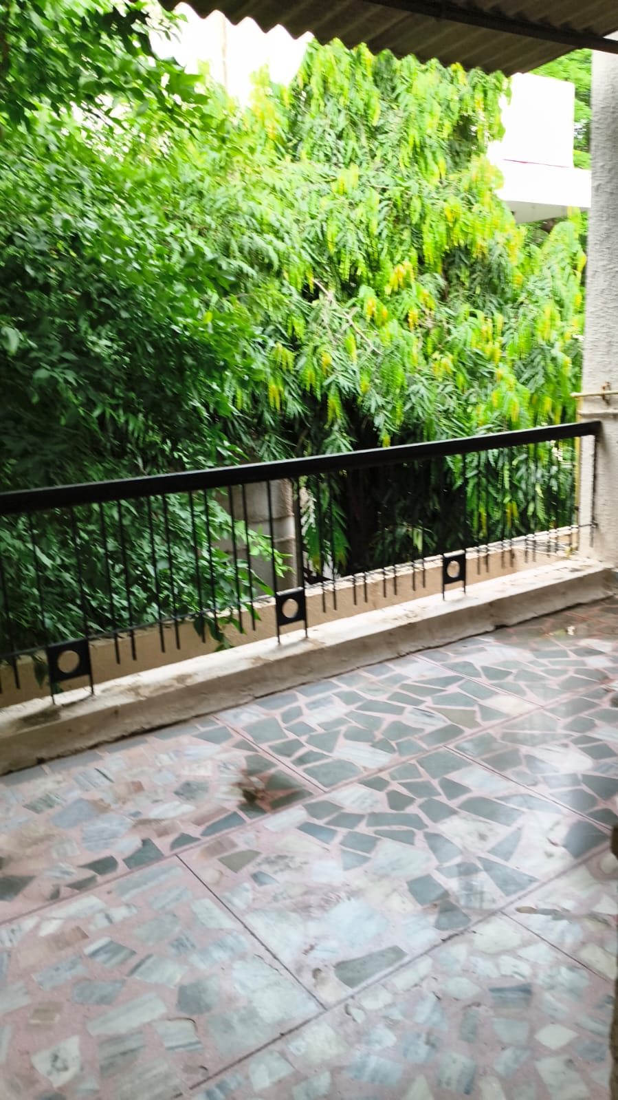 3 BHK + Extra Room Builder Floor For Rent in Boutique Residential Apartments A-4 1