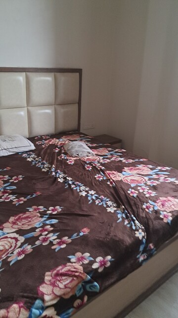 1.5 BHK Independent House For Rent in Arya Nagar