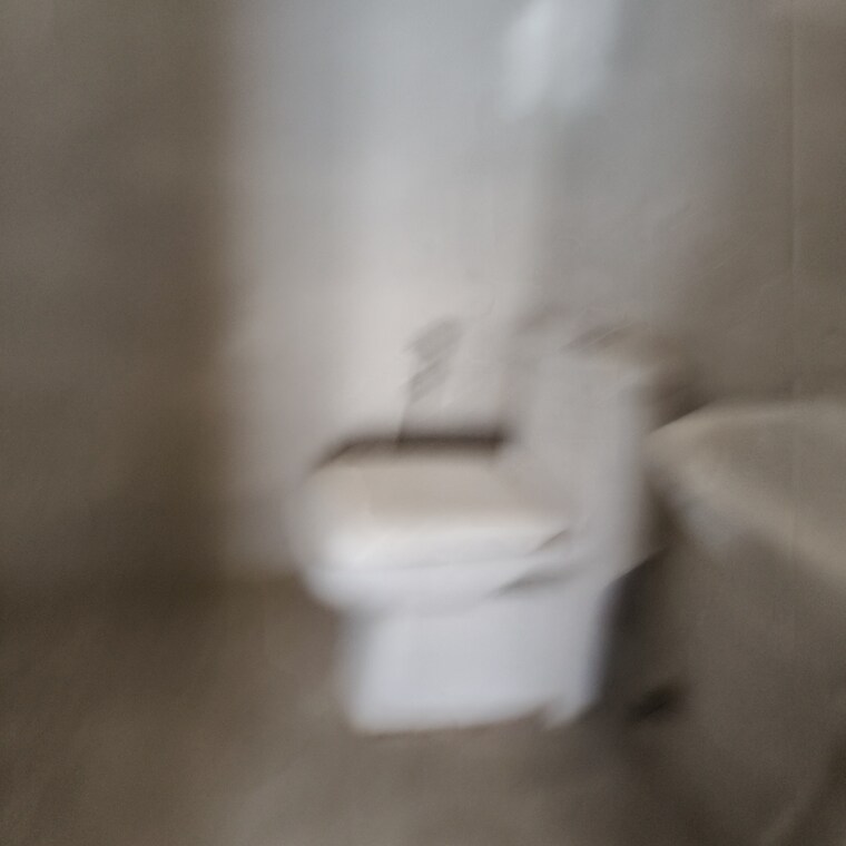 Bathroom, suncity-avenue-102 2 Bedroom 532 Sq.Ft. Apartment In Sector 102 Gurgaon 9010535