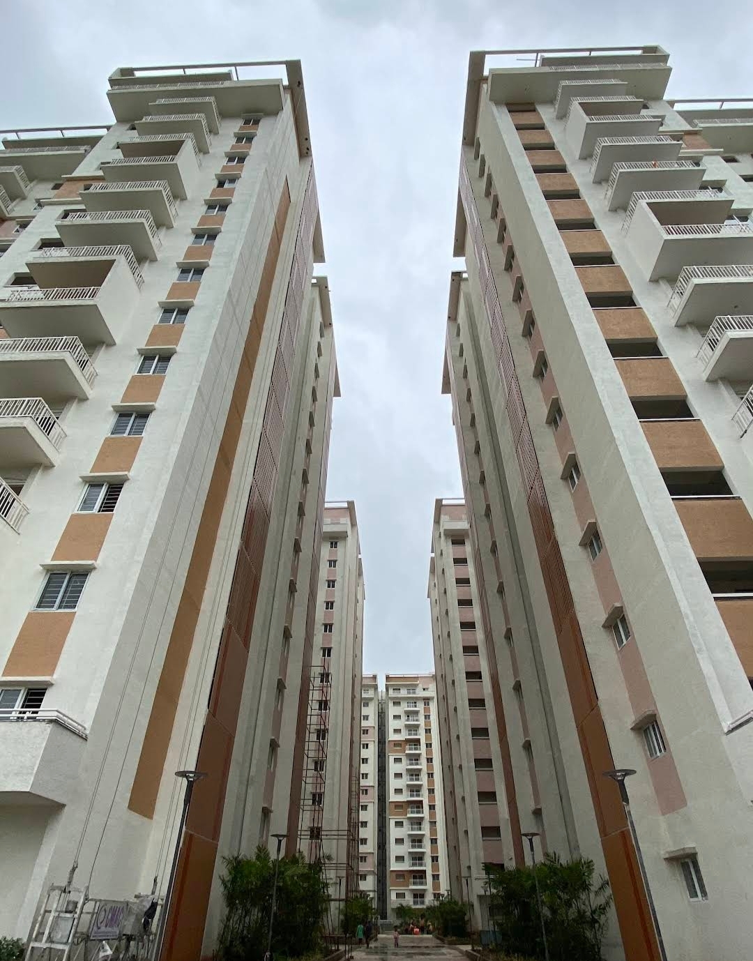 2 BHK Apartment For Rent in My Home Mangala