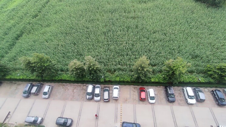 undefined, rof-ananda 2 Bedroom 580 Sq.Ft. Apartment In Sector 95 Gurgaon 9010955