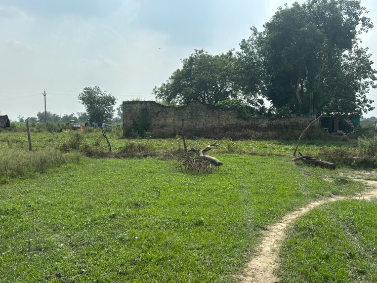 undefined, dadasiya  100 Sq.Yd. Plot In Dadasiya Faridabad 9011035