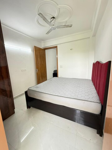 1 BHK Builder Floor For Rent in Freedom Fighters Enclave