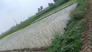 Plot Area in  Plot at Patna - Gaya Road – for Sale