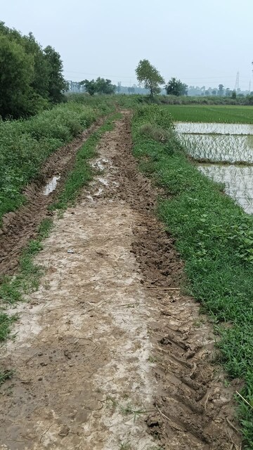 Plot Area in  Plot at Patna - Gaya Road – for Sale