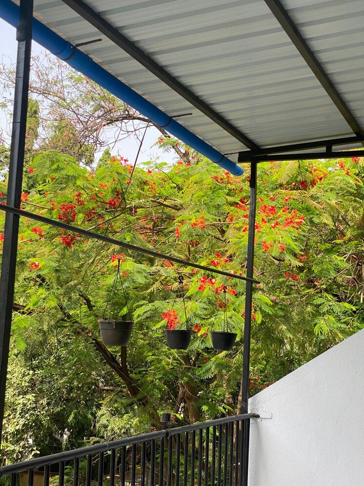 Garden, kalyani nagar 3 Bedroom 1800 Sq.Ft. Independent House In Kalyani Nagar Pune 9012147