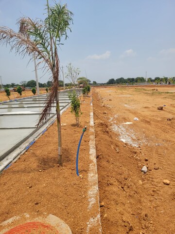 Plot Area in  Plot at Sri Sampada Nivasam, Kandi – for Sale