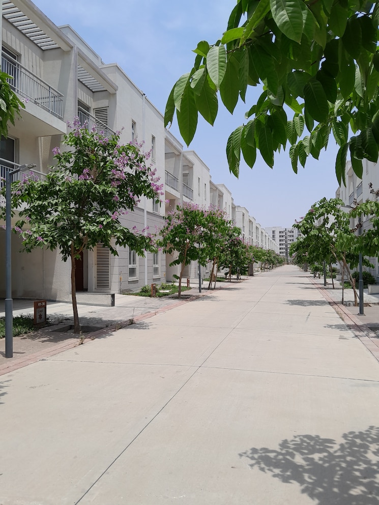 Exterior View, godrej-golf-links-evoke 4 Bedroom 2359 Sq.Ft. Villa In Sector 27 Yamuna Expressway Greater Noida 9012520