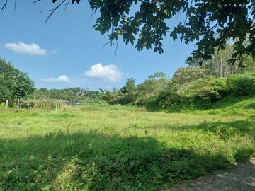 Plot Area in  Land at Pallikkunnu – for Sale