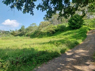  Land For Sale in Pallikkunnu